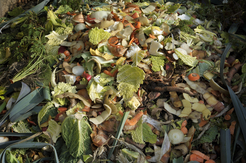 Overcoming Plastic Challenges: A Guide for Change